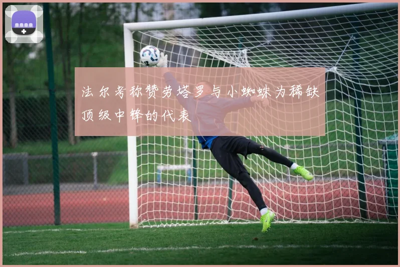 法尔考称赞劳塔罗与小蜘蛛为稀缺顶级中锋的代表